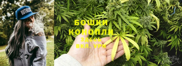 шишки Михайловка