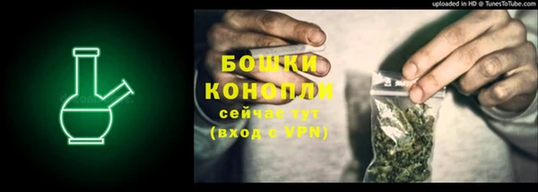 ГАЛЛЮЦИНОГЕННЫЕ ГРИБЫ Михайловск