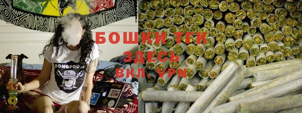 шишки Михайловка