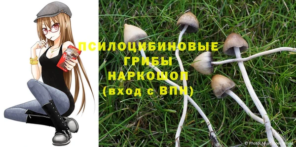 альфа пвп Михайлов