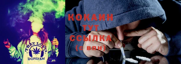 шишки Михайловка