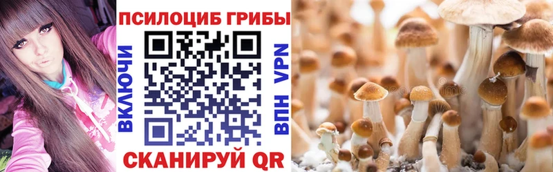 Купить закладки  Яранск  Галлюциногенные грибы мицелий 